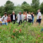 Réserve métropolitaine de biodiversité « la Crau du Piboulon »