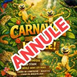 Carnaval d&rsquo;Alleins samedi 14 mars 2026